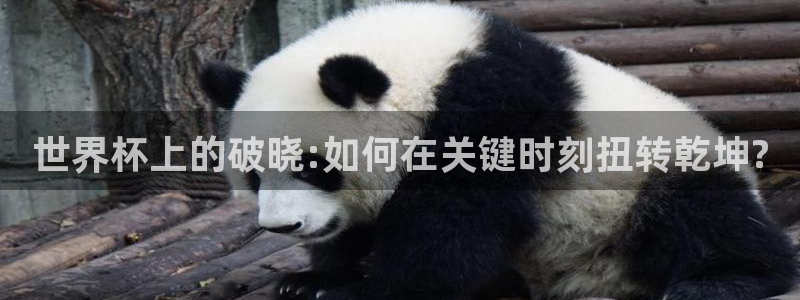 世界杯球队：世界杯上的破晓:如何在关键时刻扭转乾坤?