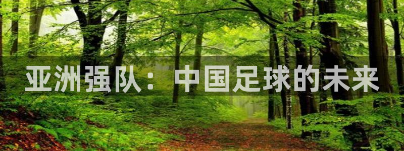 世界杯亚洲区预选赛赛程：亚洲强队：中国足球的未来