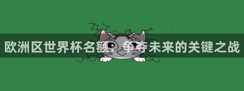 世界直播：欧洲区世界杯名额：争夺未来的关键之战