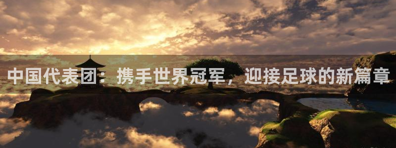 2026足球世界杯：中国代表团：携手世界冠军，迎接足球的新篇章