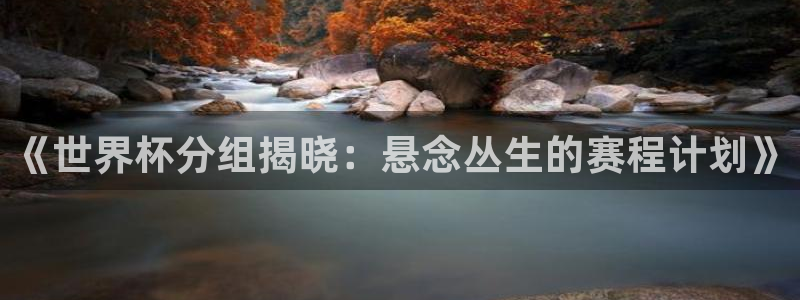 世界杯在线直播入口：《世界杯分组揭晓：悬念丛生的赛程计划》