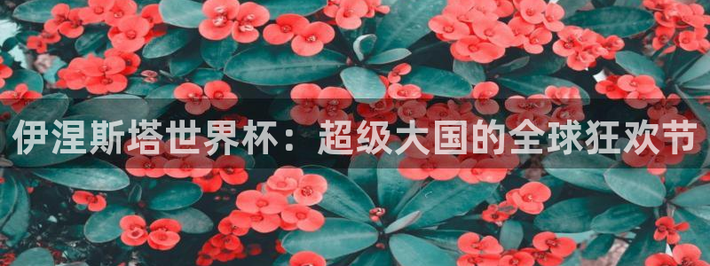 世界杯球队：伊涅斯塔世界杯：超级大国的全球狂欢节
