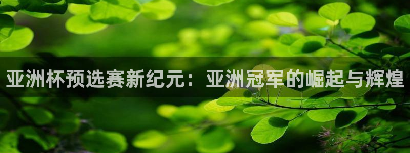 世预赛直播：亚洲杯预选赛新纪元：亚洲冠军的崛起与辉煌