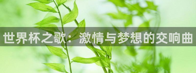 2026世界杯足球赛程时间表：世界杯之歌：激情与梦想的交响曲