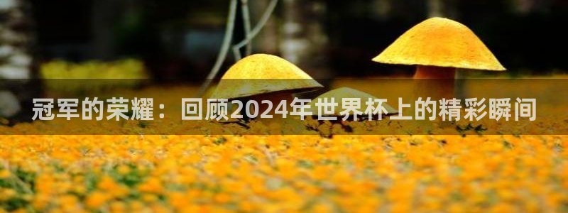 2026世界杯赛程表完整版：冠军的荣耀：回顾2024年世界杯上的精彩瞬间