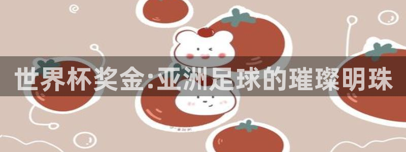 2026世界杯赛程表完整版：世界杯奖金:亚洲足球的璀璨明珠