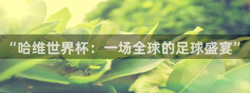 欧洲世界杯预选赛赛程：“哈维世界杯：一场全球的足球盛宴”