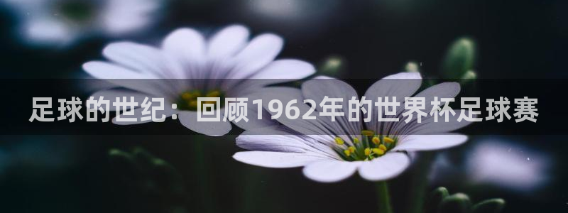 世界杯系列赛：足球的世纪：回顾1962年的世界杯足球赛